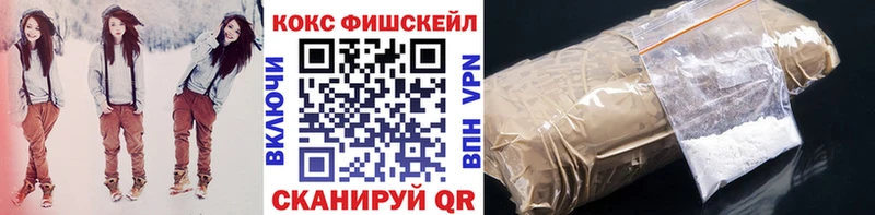 ссылка на мегу как зайти  Снежинск  Cocaine Fish Scale 